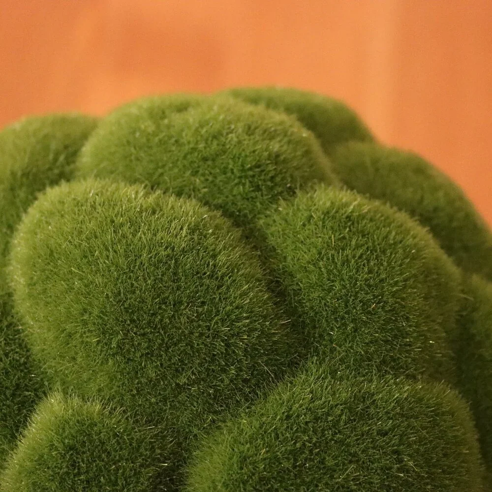 Flower Grass Ball for Hanging plant or aquarium, NWT, unused